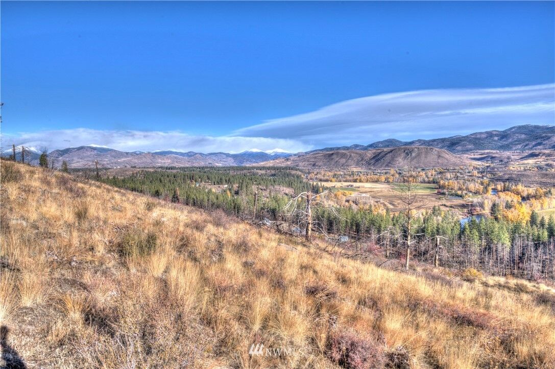 Property Photo:  46 Rising Eagle Road  WA 98856 