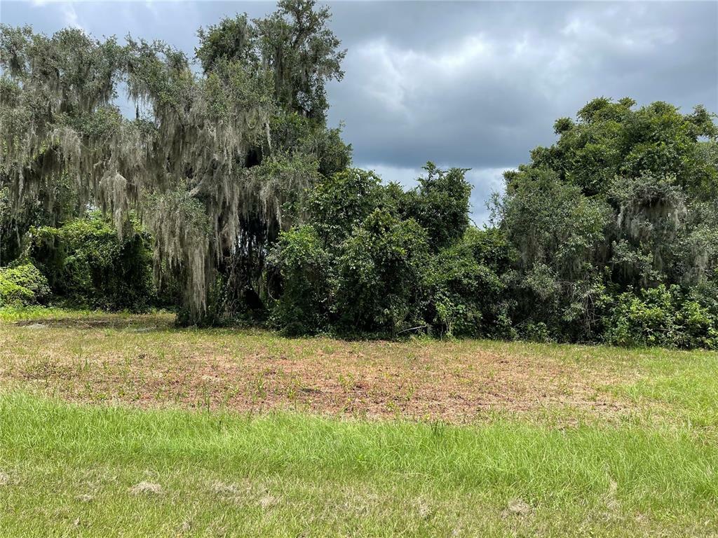 Property Photo:  465 Long And Winding Road  FL 34737 