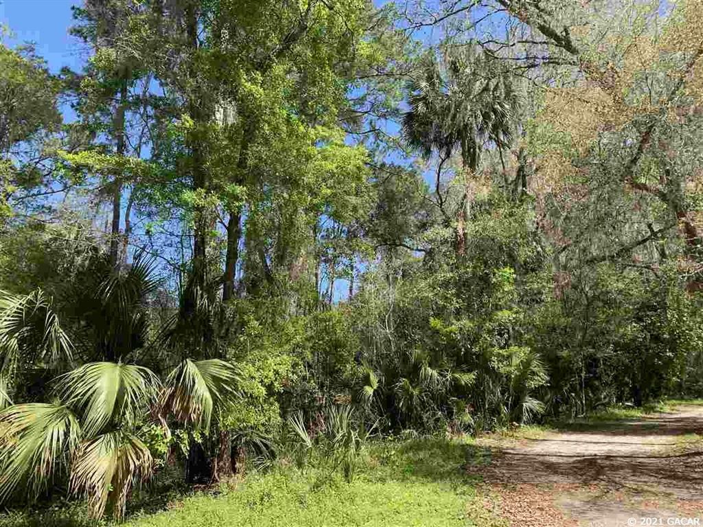 Property Photo:  00 SE Evans Court  FL 32667 