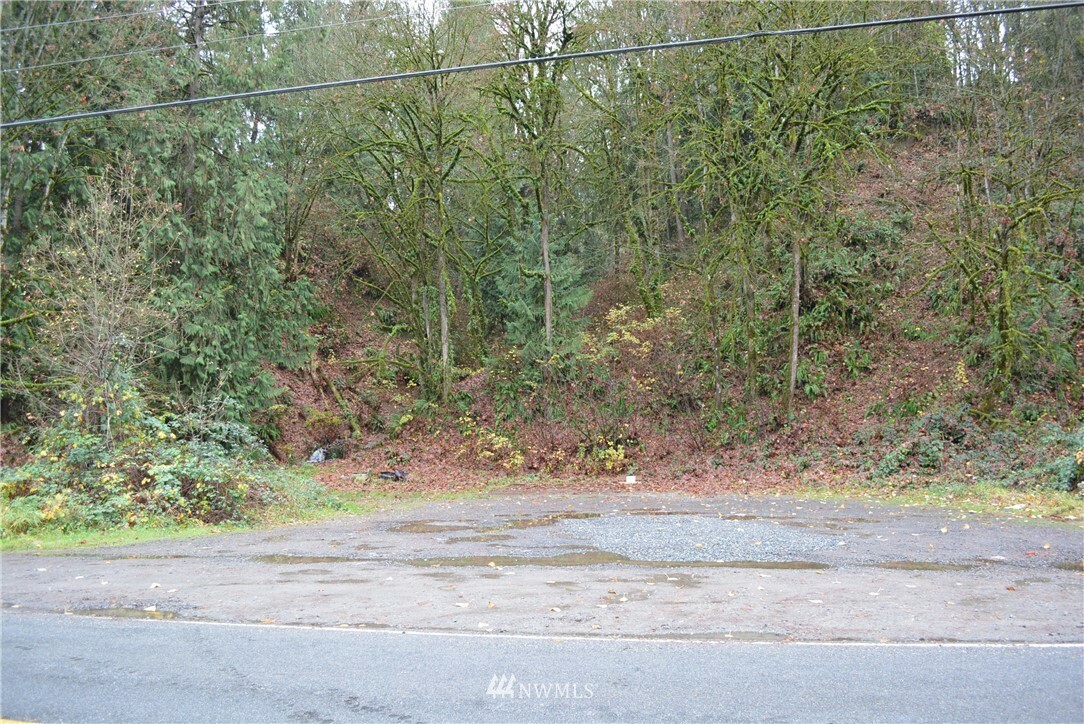 Property Photo:  21318 High Bridge Road  WA 98272 