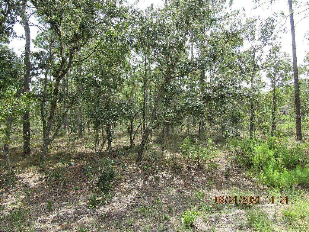 Property Photo:  Crocus Lane  FL 34431 