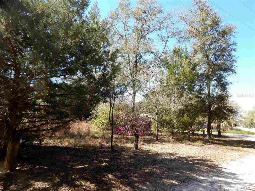 00 SW Copperhead Lane  Ft. White FL 32038 photo