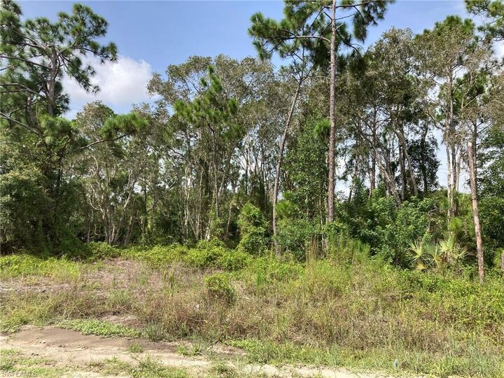 Property Photo: 2406 Meadow Road FL 33974