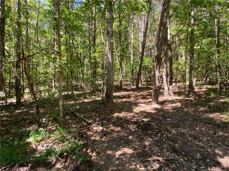 Property Photo:  Lot 16 Mineral Springs Road  GA 30107 