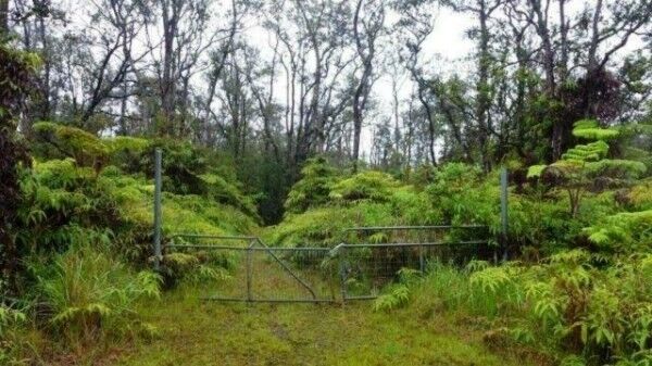 Property Photo:  11-3058 Kaleponi Rd  HI 96785 