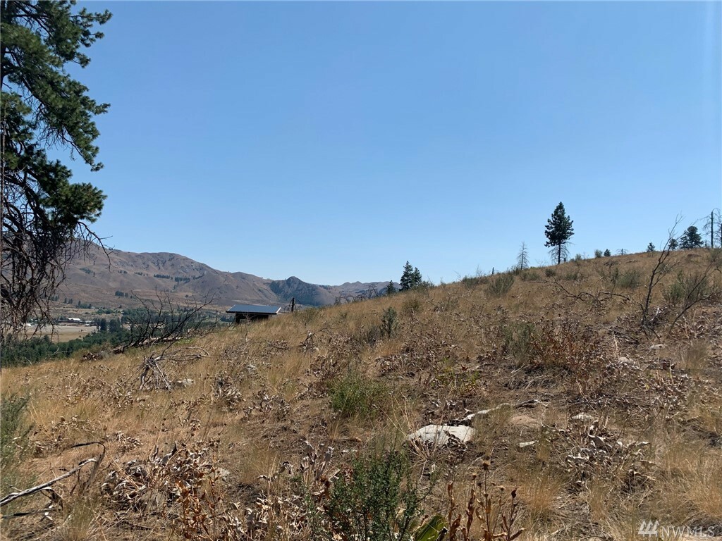 Property Photo:  31 View Rd  WA 98862 