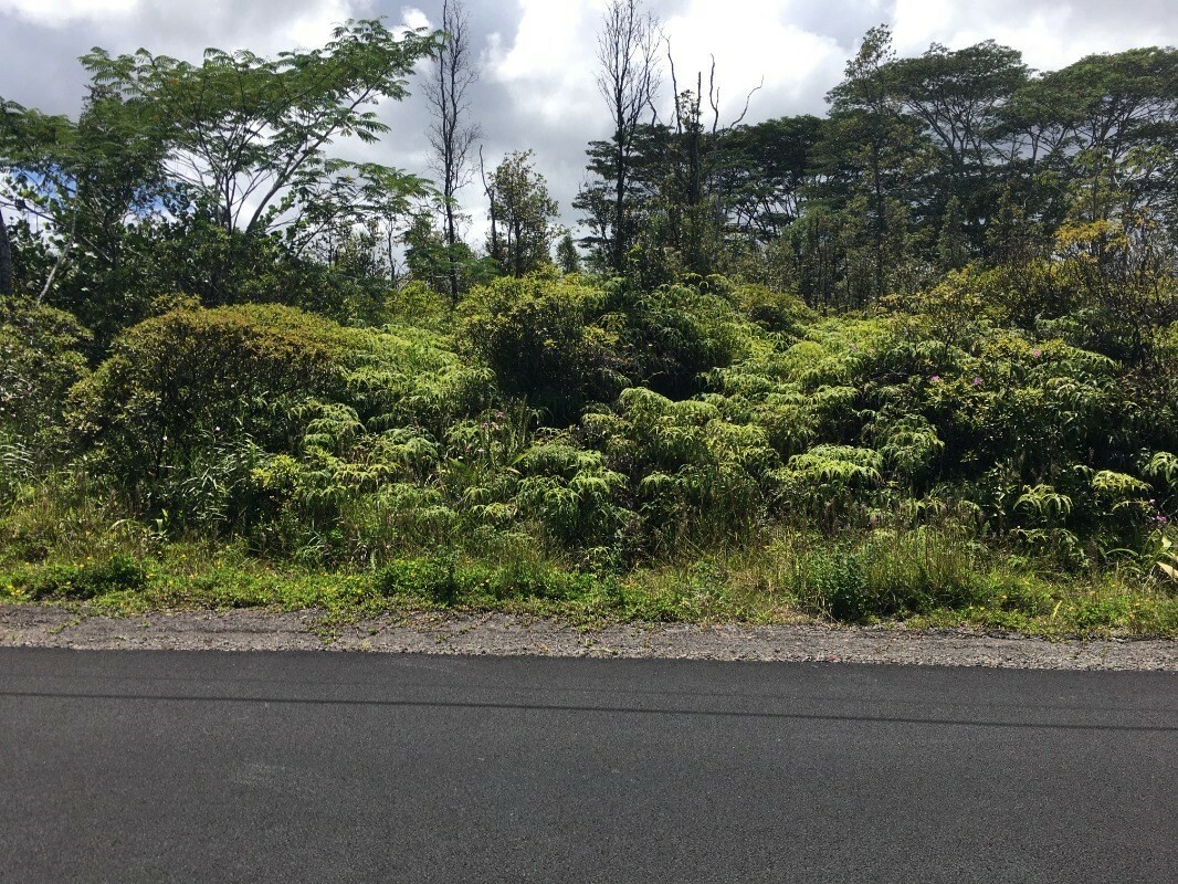 Property Photo:  12th Ave (Koali)  HI 96749 