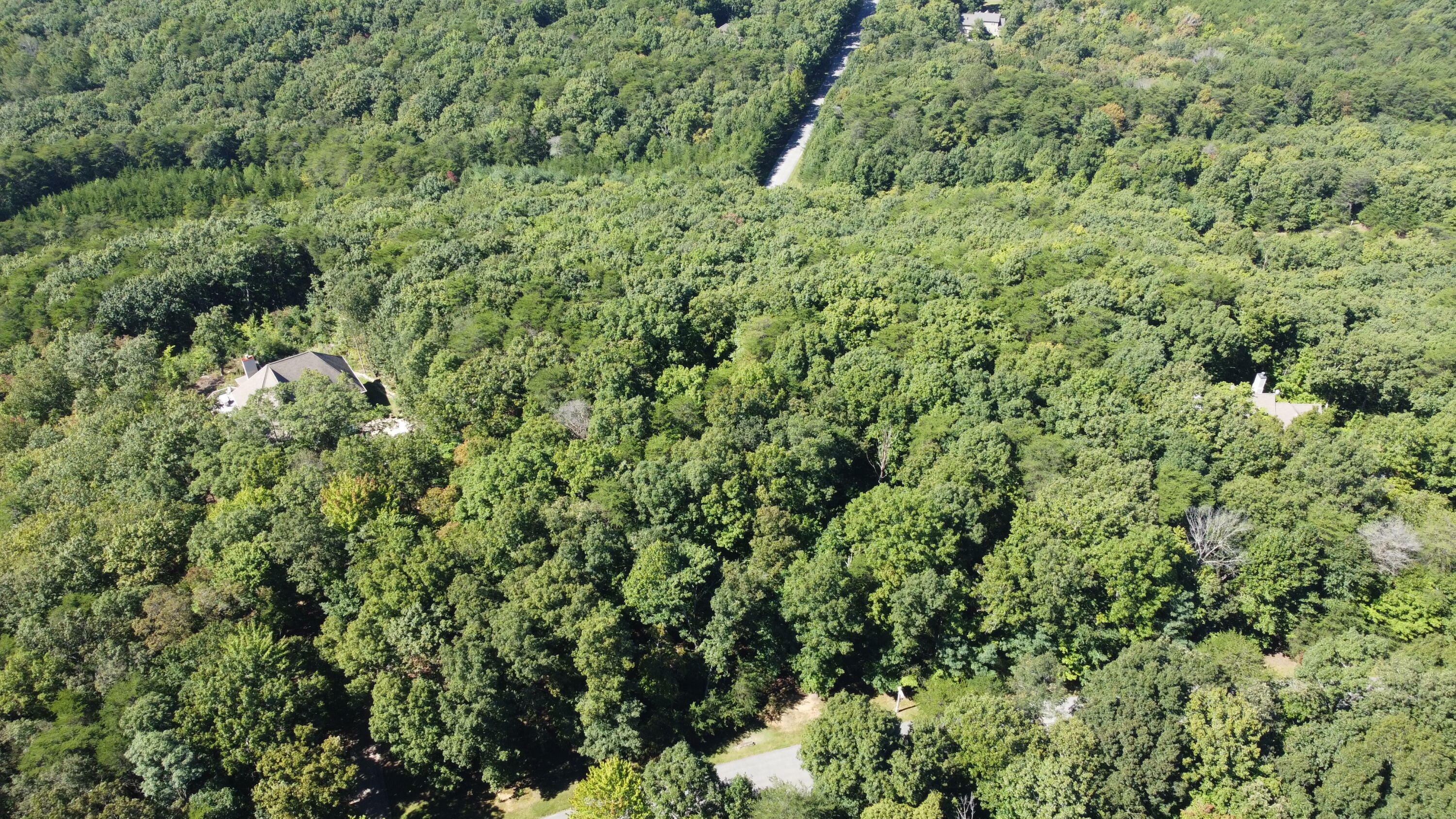 Property Photo: 0 S Shivas Crest GA 30738