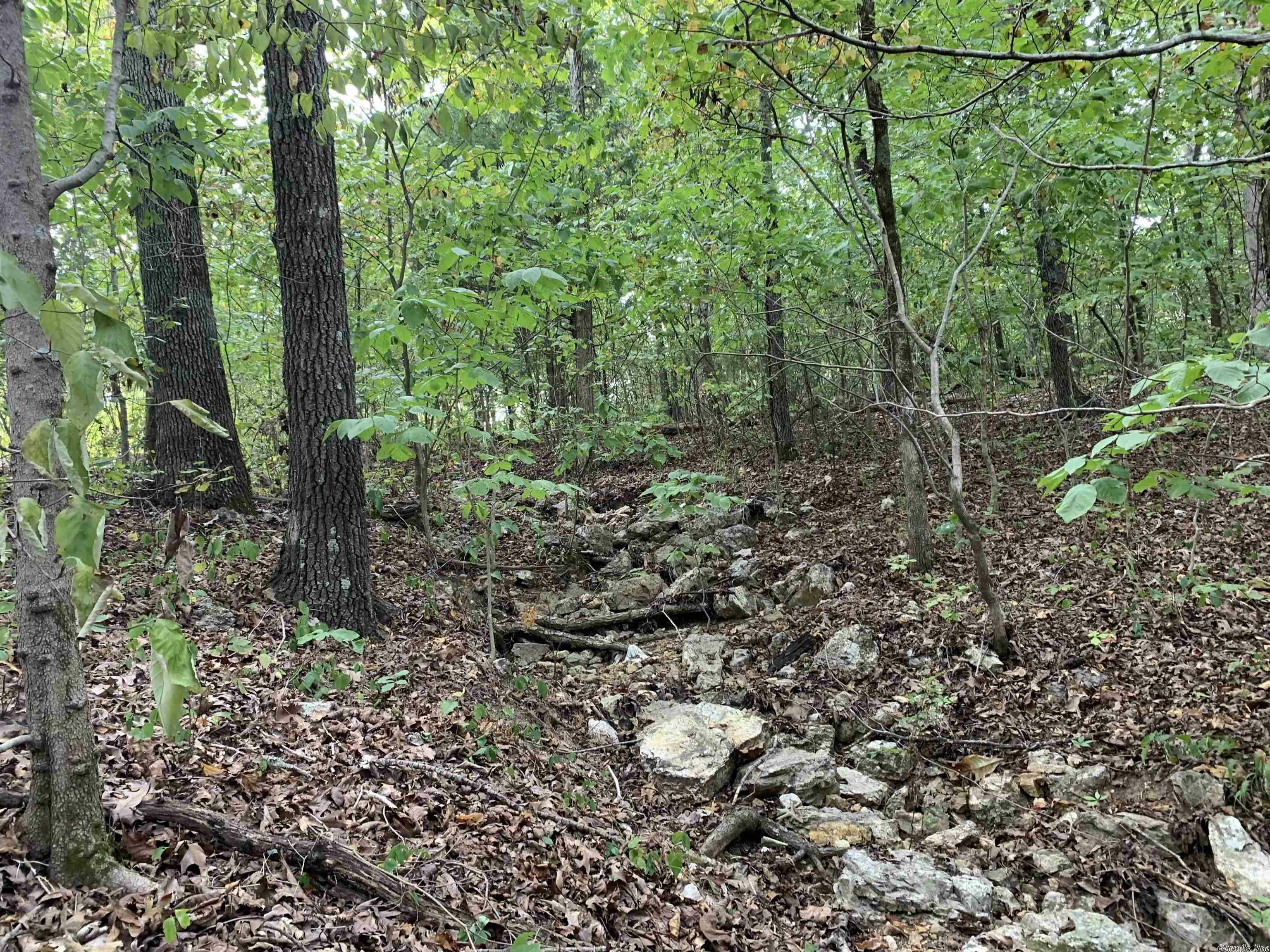 Property Photo: Hwy 63 AR 72482