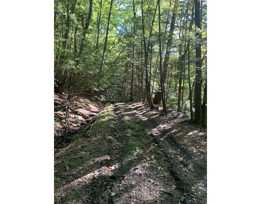 Property Photo:  0 Pratt Hollow Rd  MA 01360 