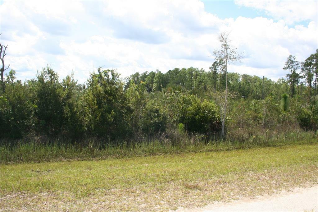 Property Photo:  0 Althea Drive  FL 33898 