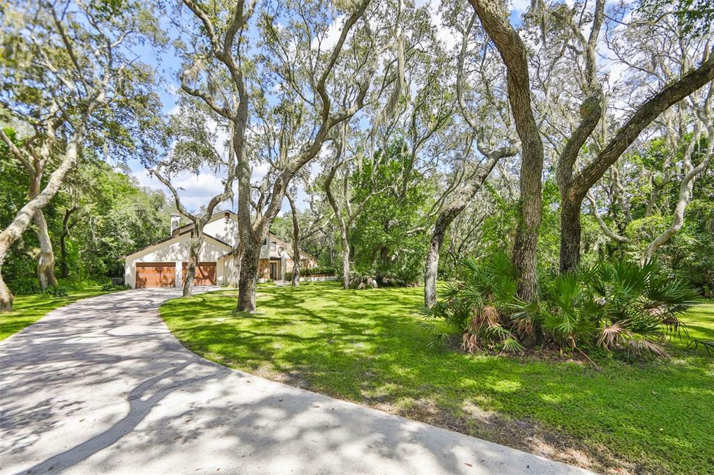 Property Photo:  2610 Regal Oaks Lane  FL 33559 