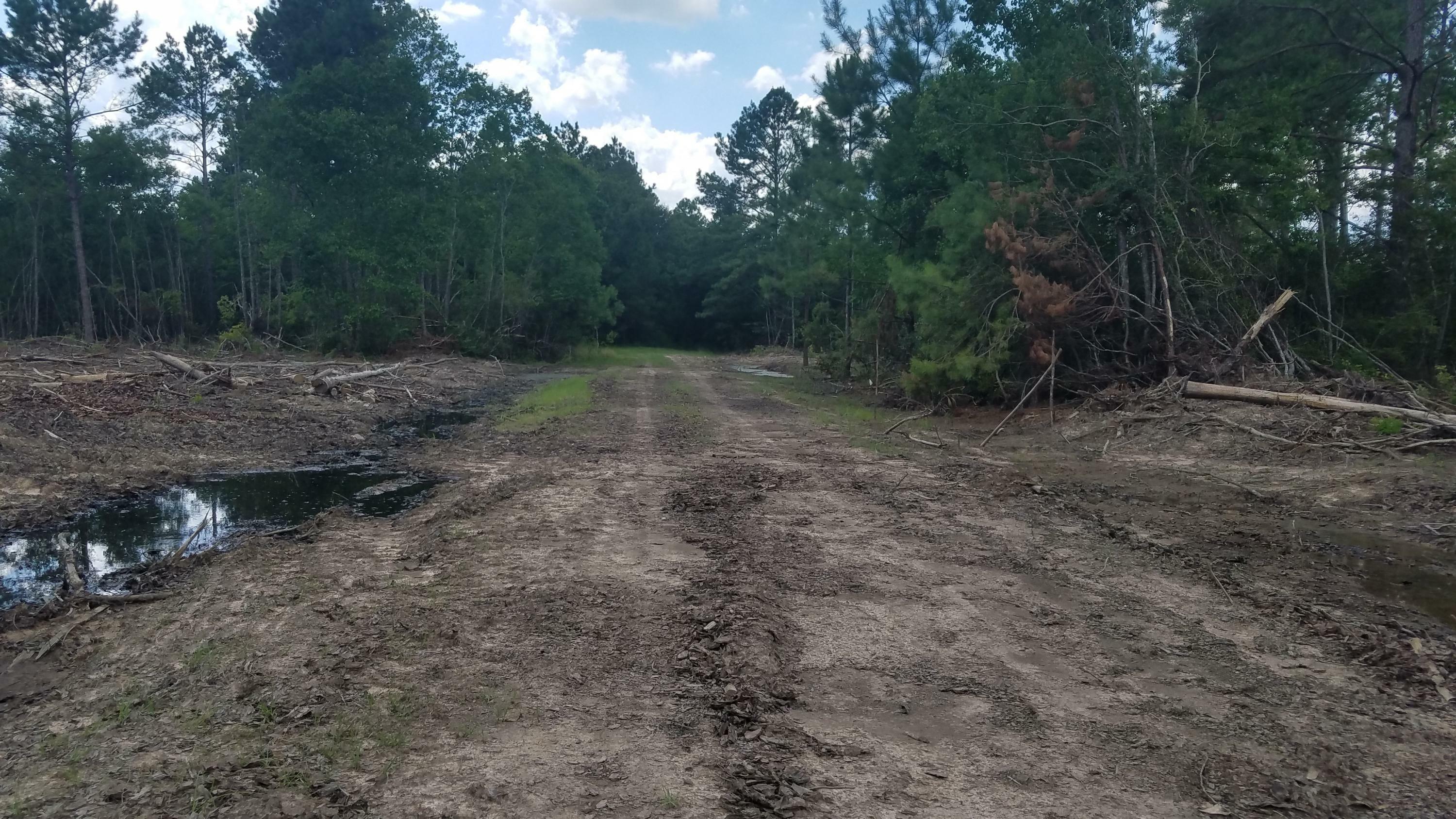 Tbd Little Happy Lane Lot 73  Deridder LA 70634 photo