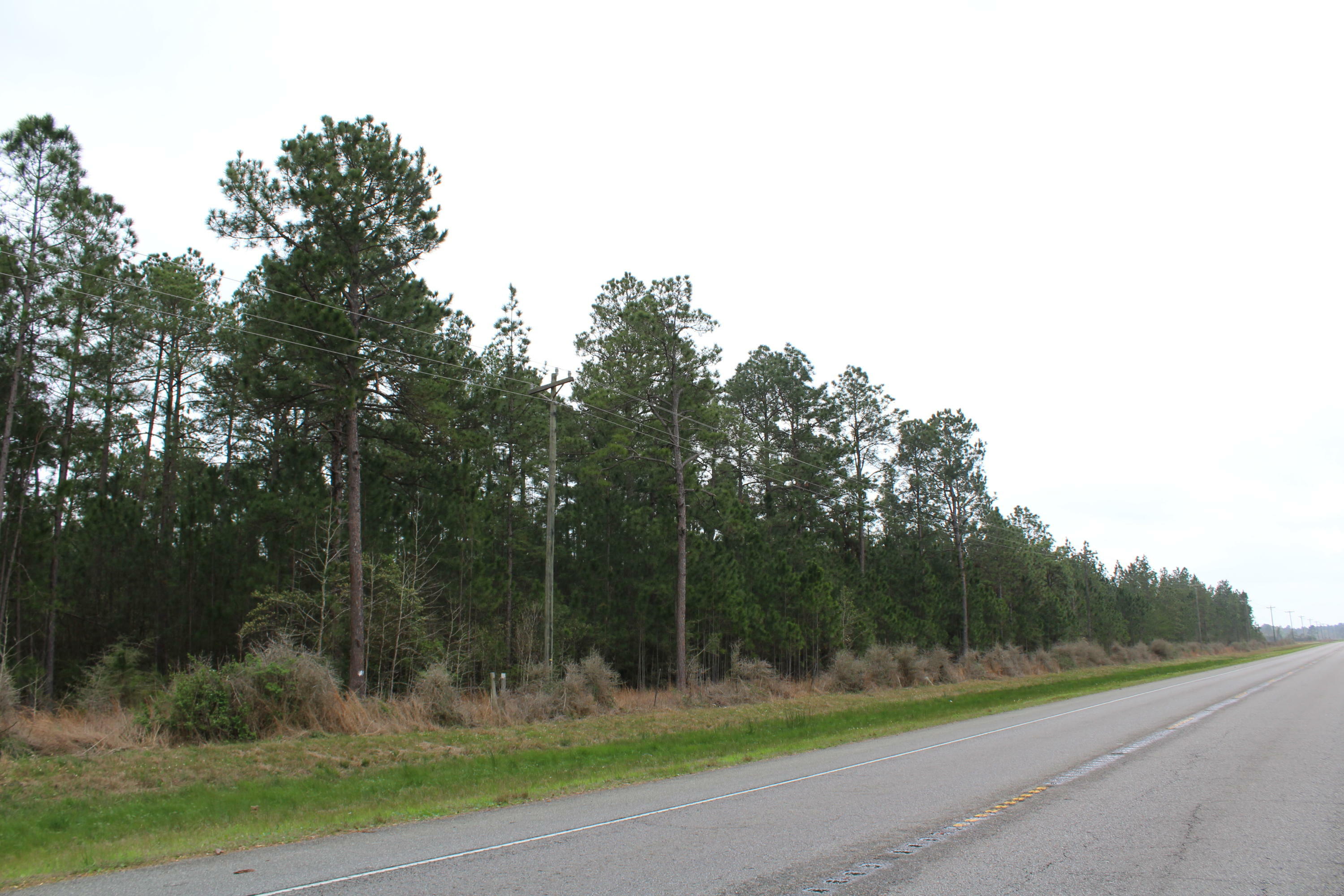 Property Photo:  Highway 27, Tbd  LA 70660 