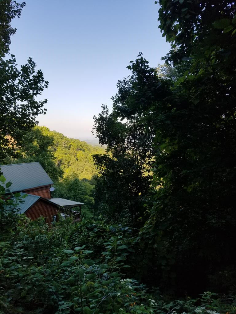 Property Photo: Lot 1 Overholt Trail TN 37876