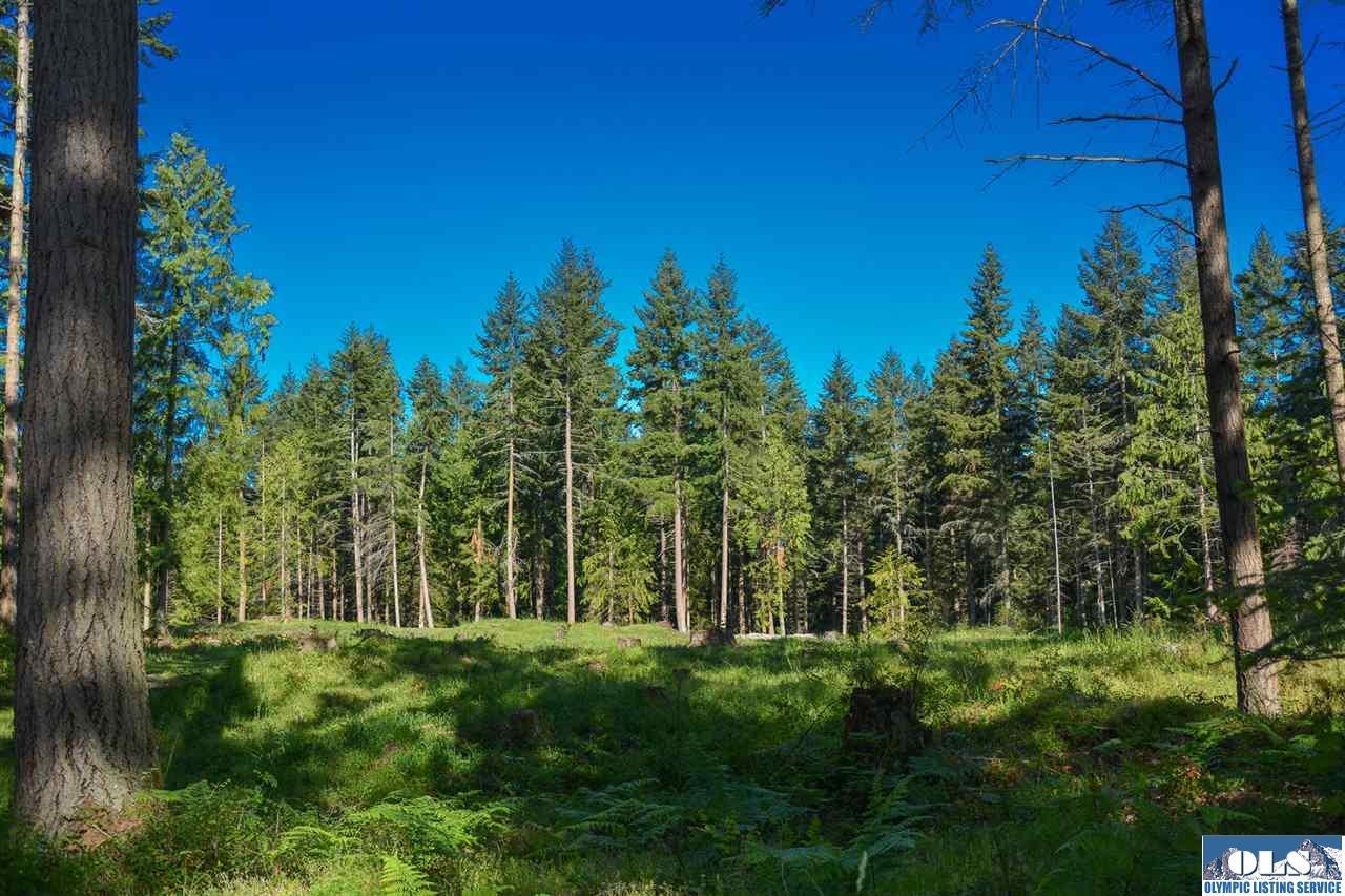 Property Photo: 999 John Scott WA 98382