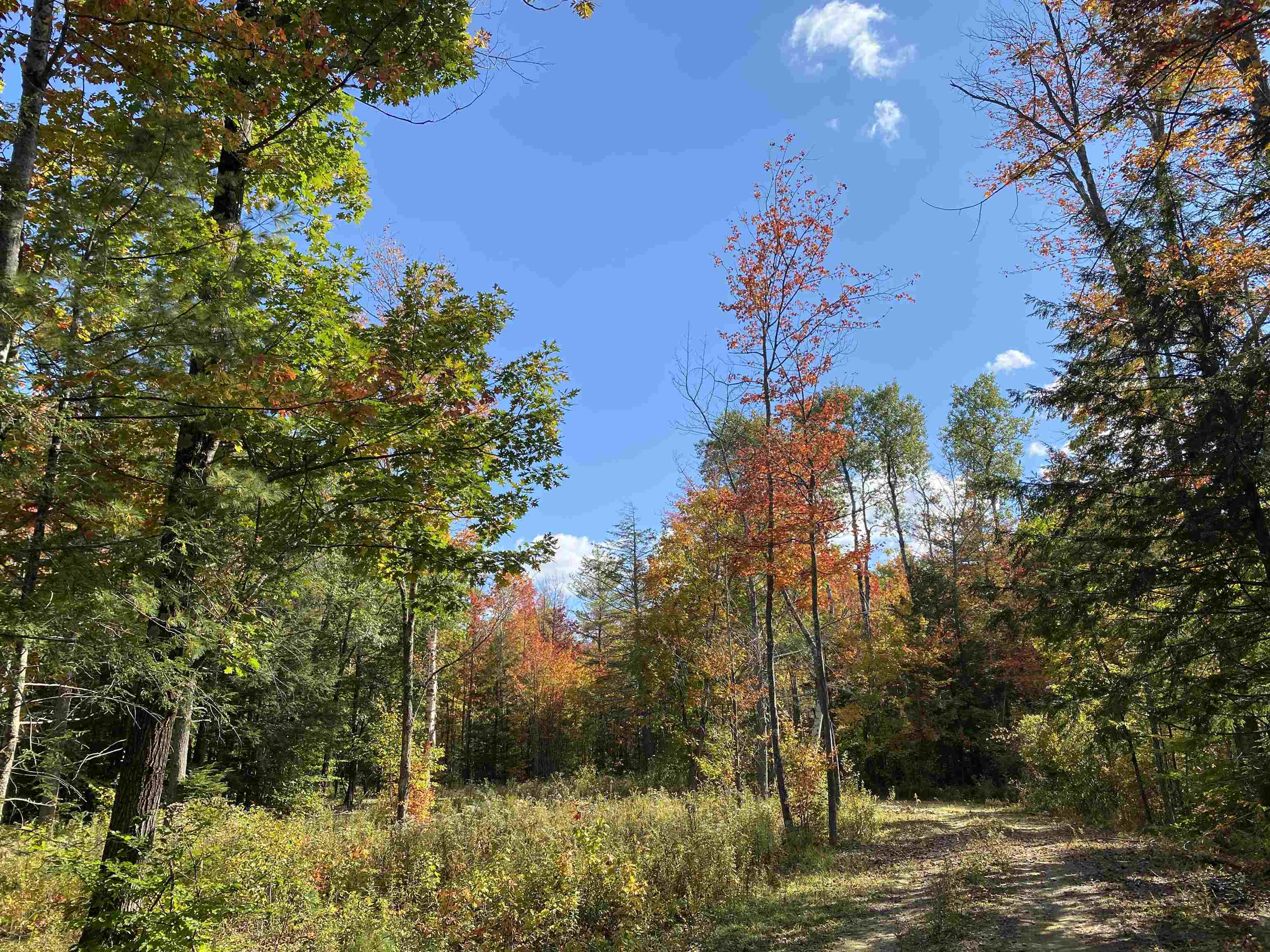 Property Photo:  35 1/2 East Harrisville Road  NH 03444 