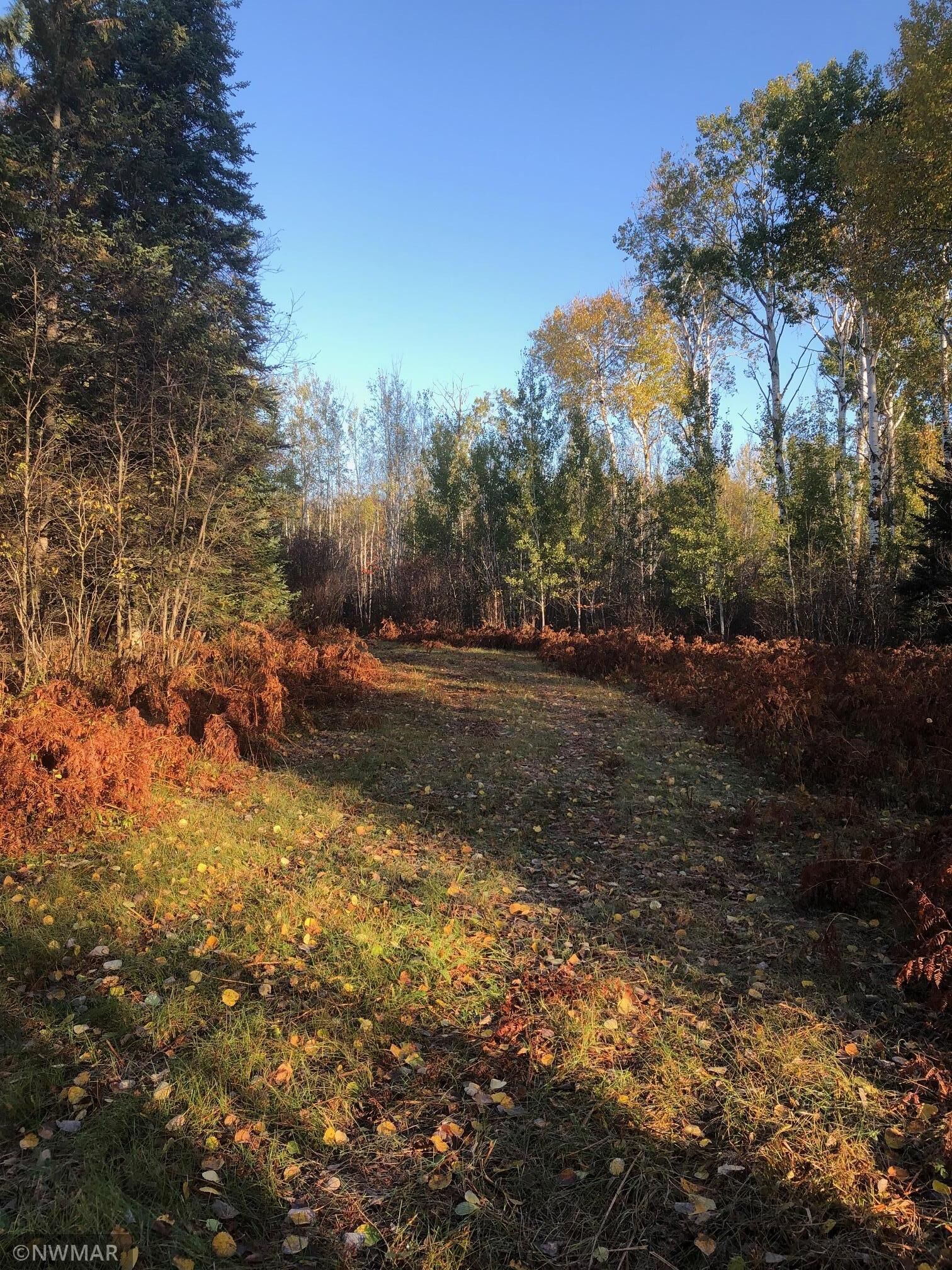 Property Photo: 35388 Arnson Creek Road NE MN 56630