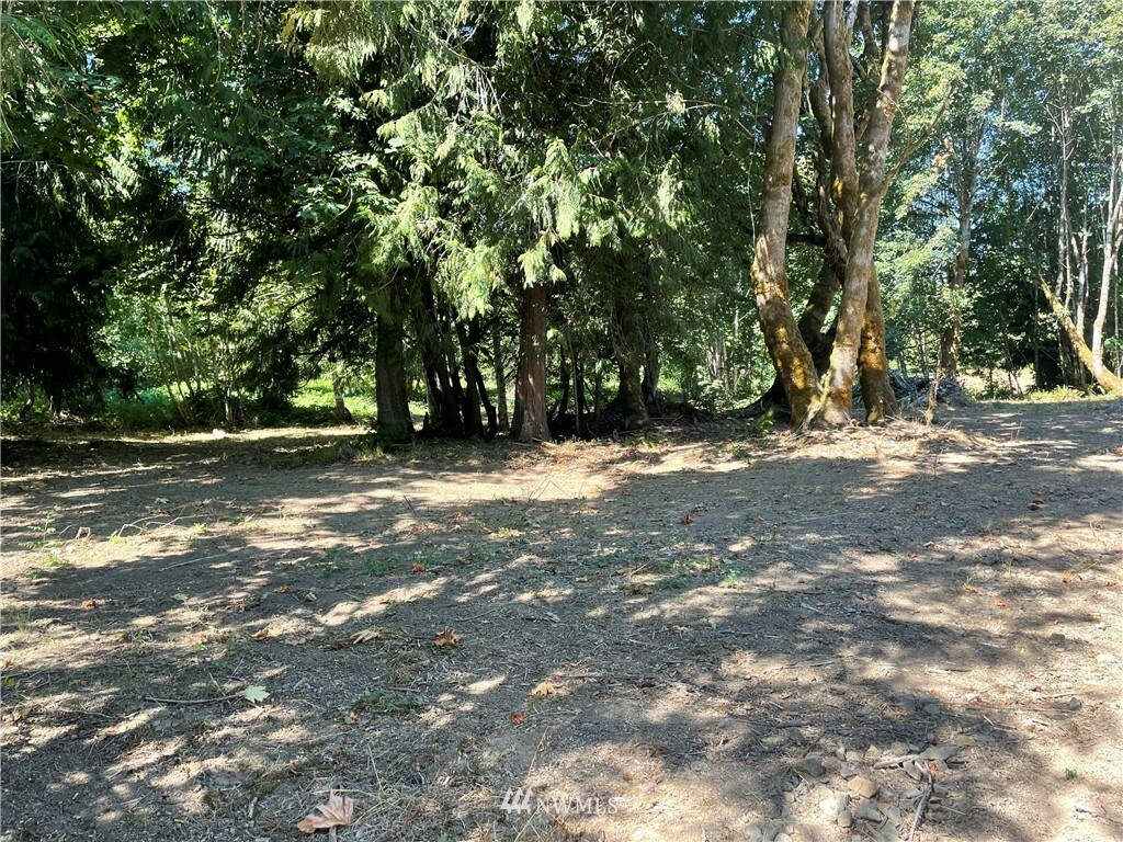 Property Photo:  119 Newell Road  WA 98611 