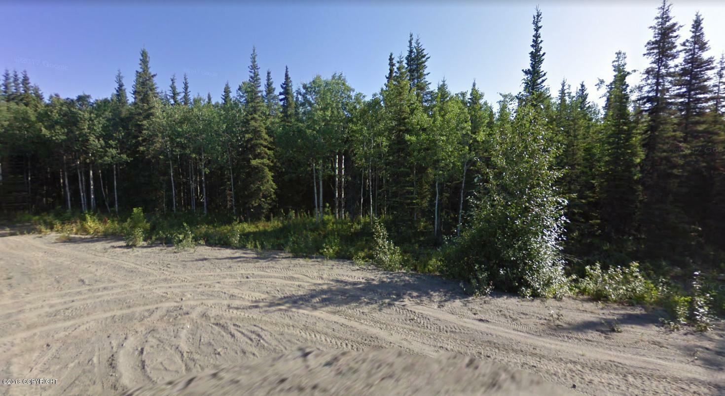 Property Photo: Tr E Redman Street AK 99672