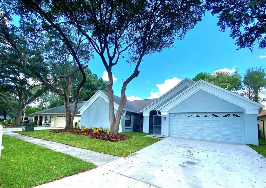 Property Photo: 18213 Cypress Stand Circle FL 33647