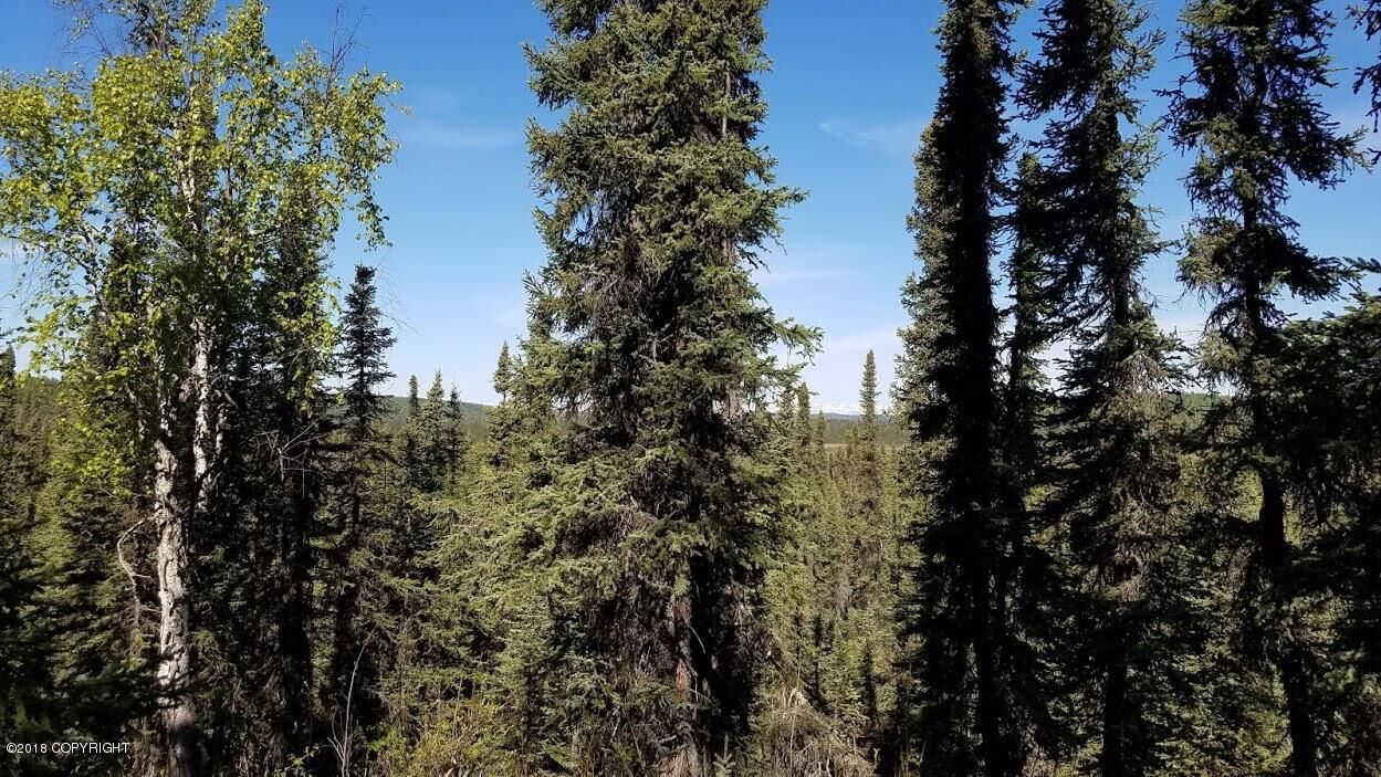 Property Photo: 41722 Funny River Road AK 99669