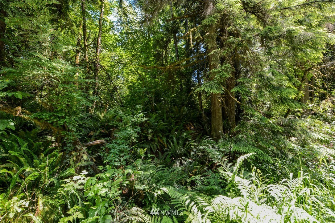 Property Photo:  238 Xx NE Old Woodinville Duvall Road  WA 98077 