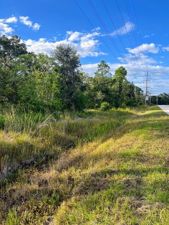 Property Photo:  0 Doherty Road  FL 33898 