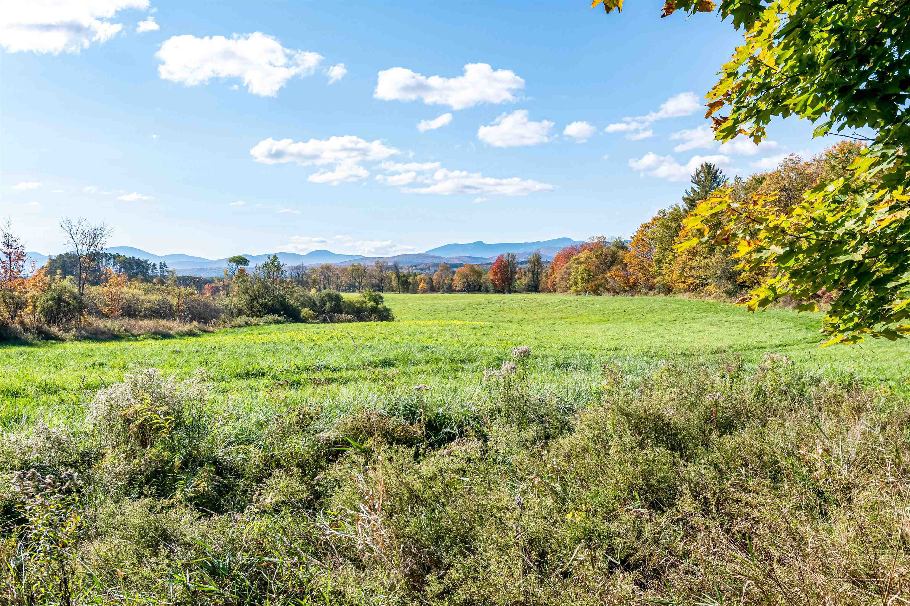 Property Photo:  4156 Randolph Road  VT 05661 