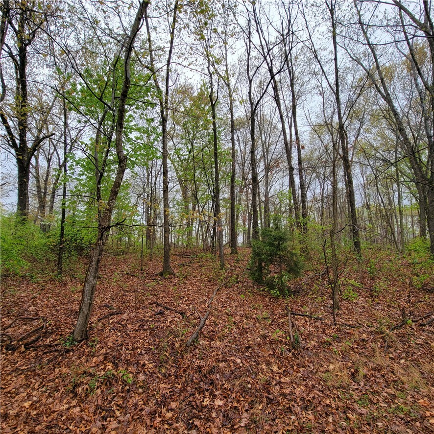 Property Photo:  Lot 50 Rountree Drive  AR 72715 