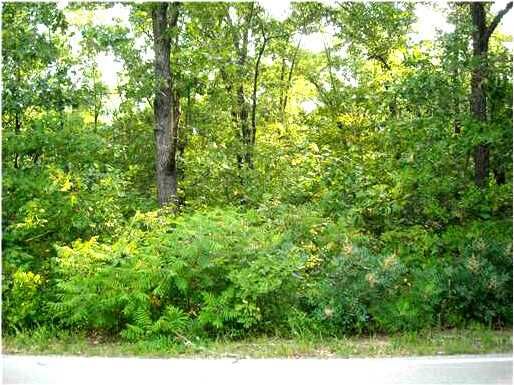Property Photo:  Cunningham Drive  AR 72714 