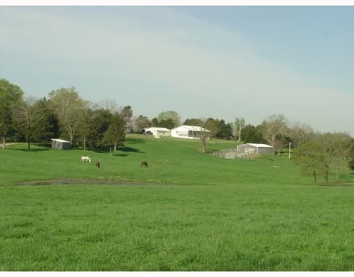 Property Photo: 297 Slate Gap Lane MO 64856