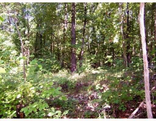 Property Photo:  Tract 25 Hillview Acres  MO 65730 