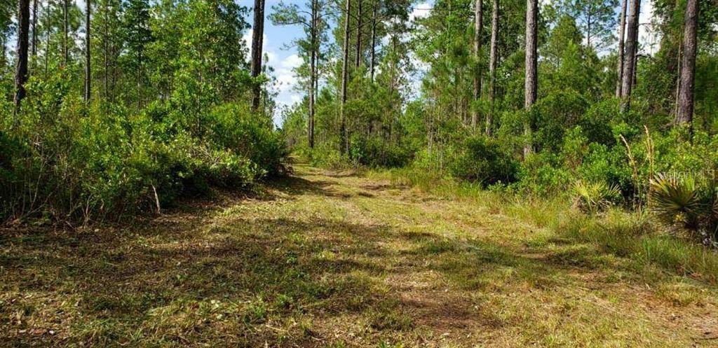 Property Photo:  Tbd NE 212th Street Road  FL 32134 