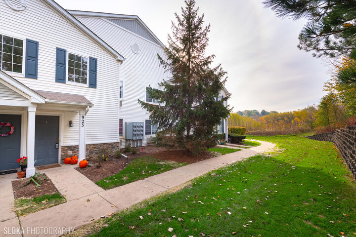 923 Silverstone Drive 923  Carpentersville IL 60110 photo
