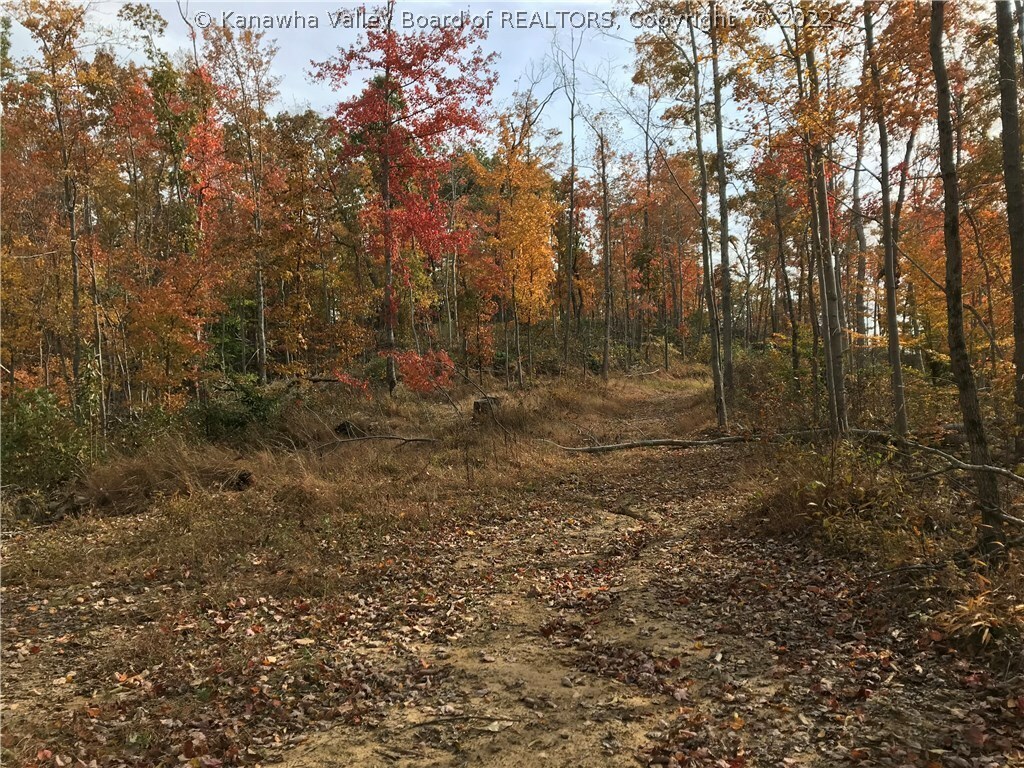 Property Photo: 0 Carol Drive WV 25526
