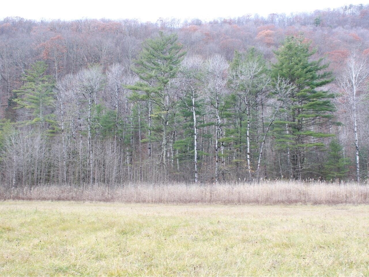Property Photo: 85 West Street VT 05765