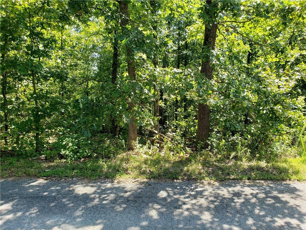 Property Photo:  Lot 38, Block 3 Northampton Drive  AR 72714 