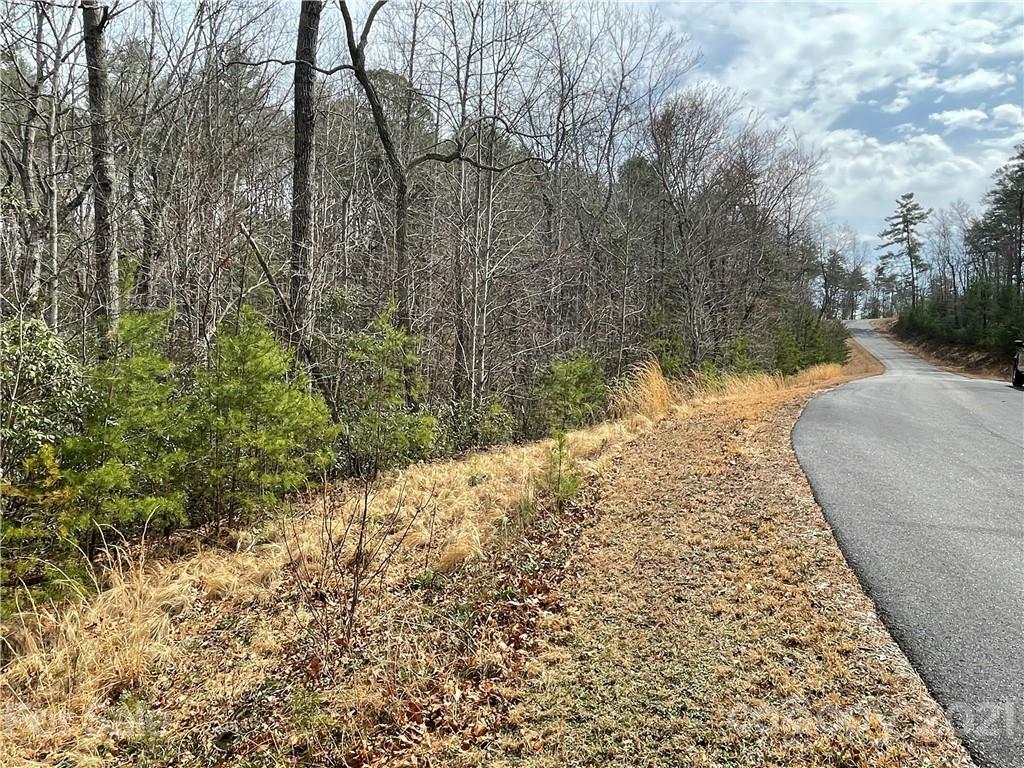 Property Photo:  Lot 60 Bridgewater Drive  NC 28752 