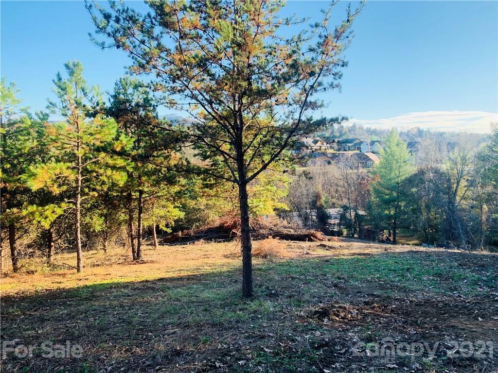 Property Photo:  99999 Alpine Way  NC 28787 