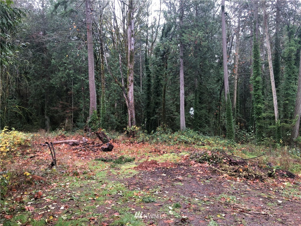 Property Photo: 0 NE Alder Street WA 98342