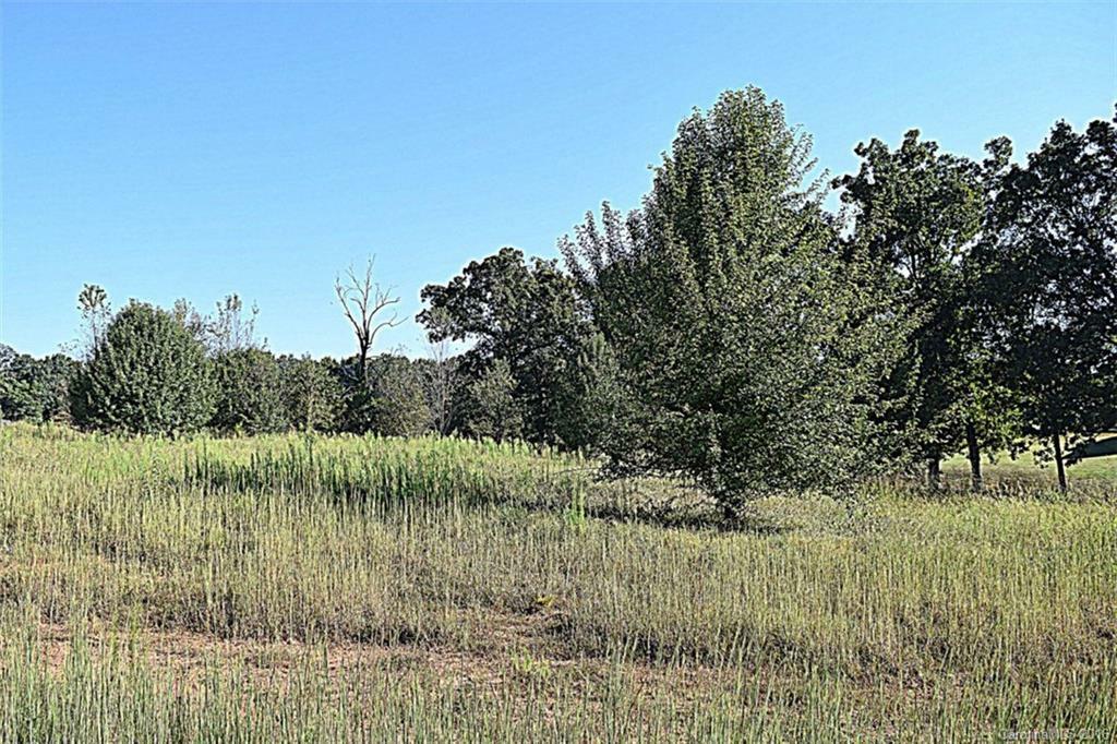 Property Photo:  Lot #20 Pond View Lane  NC 28092 