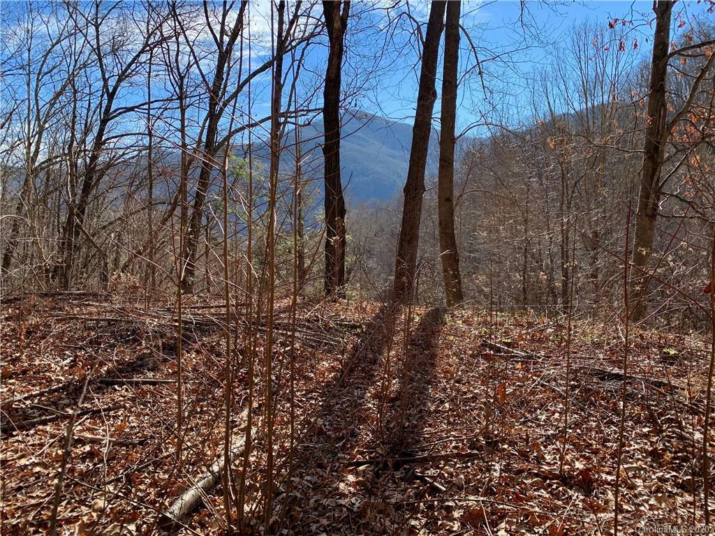 Lot 8B Creekside Drive 8B  Maggie Valley NC 28751 photo