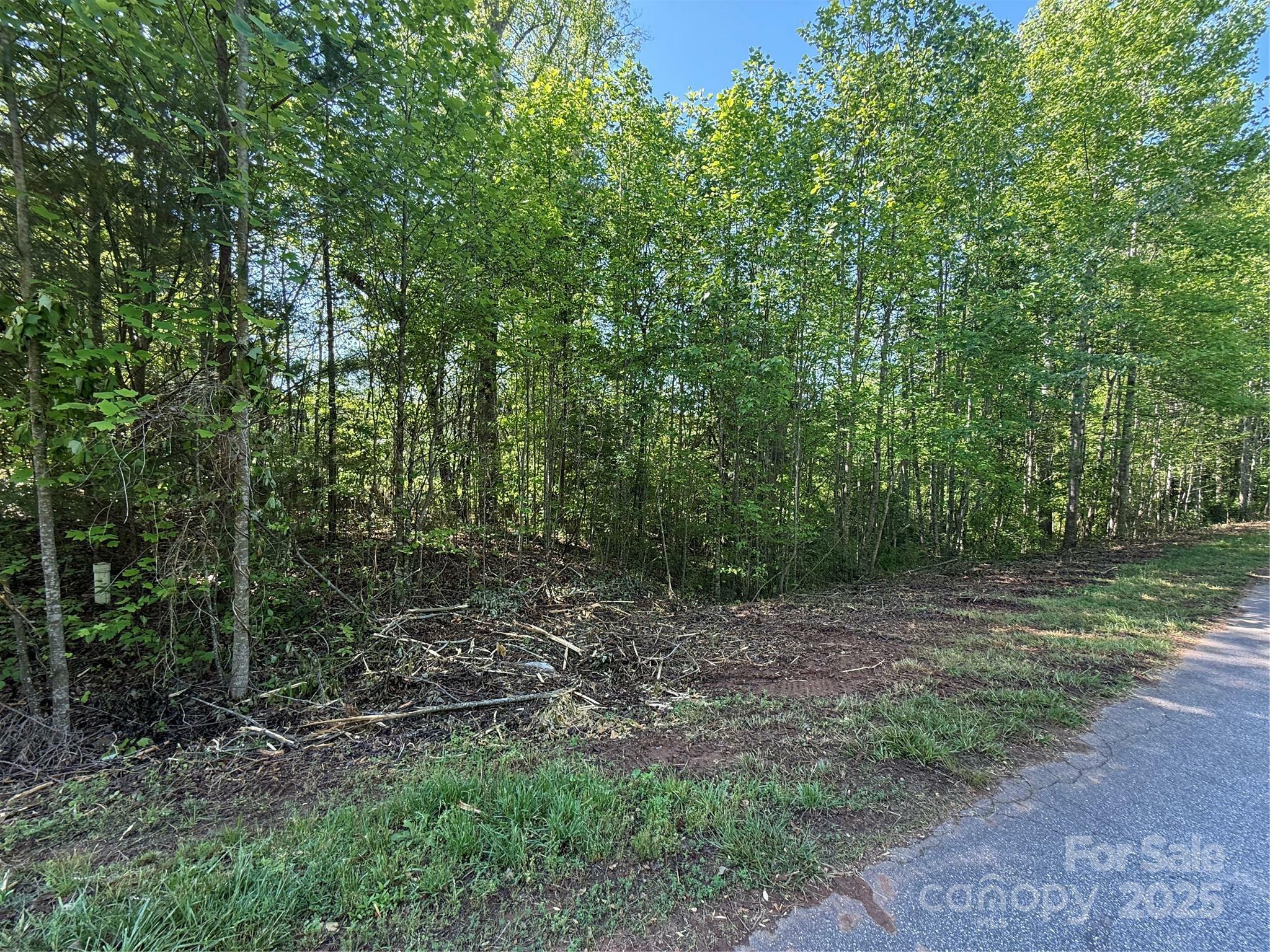 Property Photo:  Lot 248 Riley Drive 248  NC 28681 