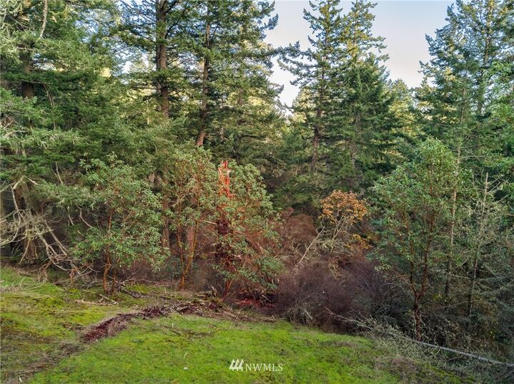 Property Photo: 1 Parcel H Sandwith Road WA 98250