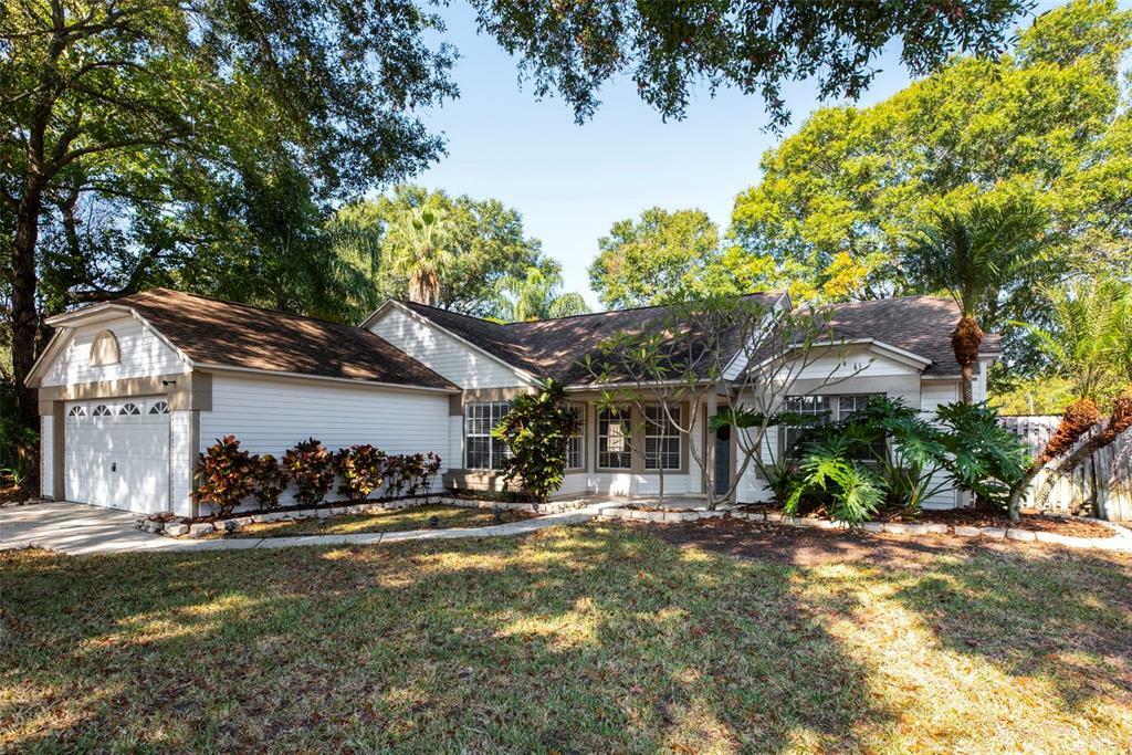 Property Photo:  2921 Penridge Drive  FL 34684 