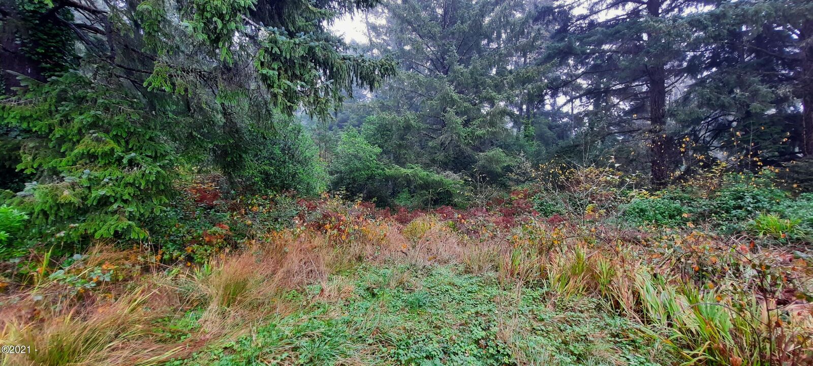 Property Photo:  Tl 2100 A Avenue  OR 97369 