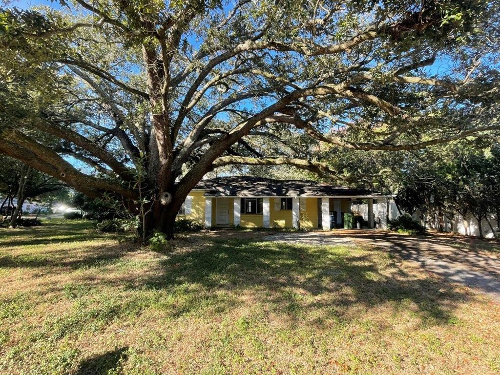 Property Photo:  1709 S Grady Avenue  FL 33629 