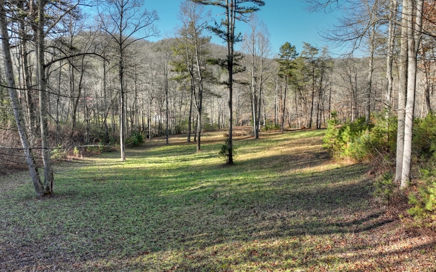 Property Photo:  37 Ac Black Ankle Creek Road  GA 30522 