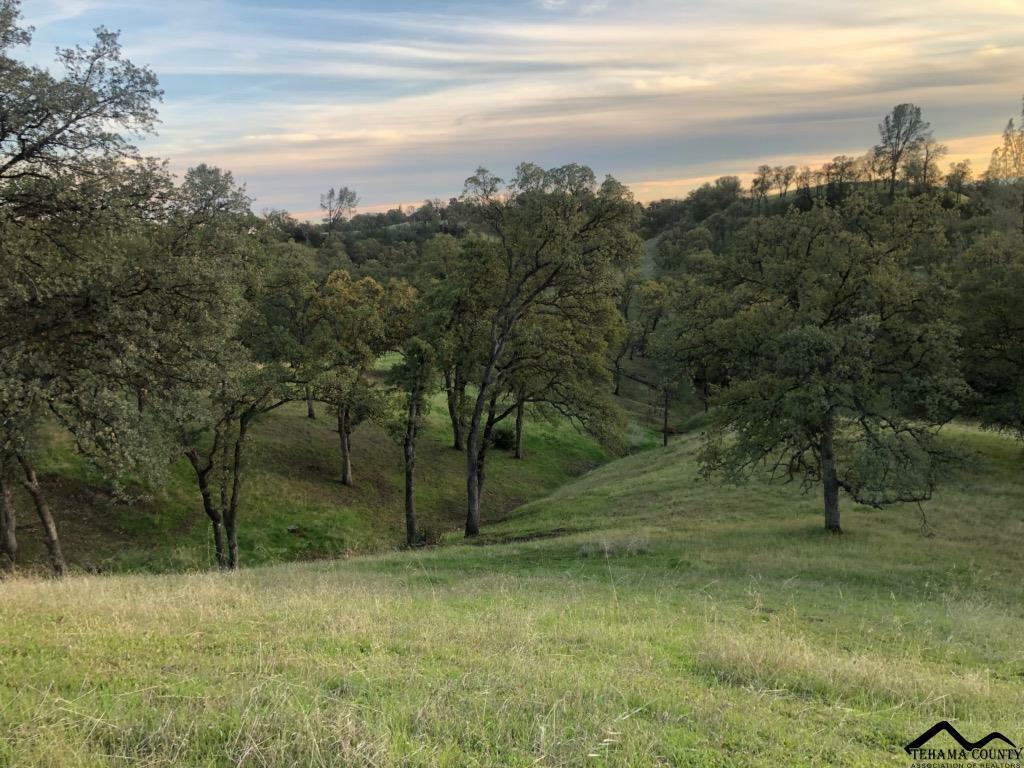 Lot 65 Penneleme Road  Red Bluff CA 96080 photo